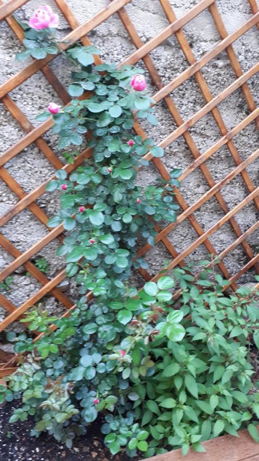 Apartman Hidden Gem Šibenik Kültér fotó